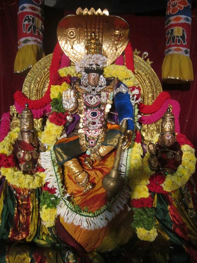 Saidapet Prasanna Venkatesa Perumal kovil Pagal Pathu day 4 2013-07