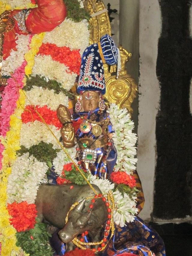 Saidapet Prasanna venkatesa temple Irappathu day 9  2014 -01_640x853
