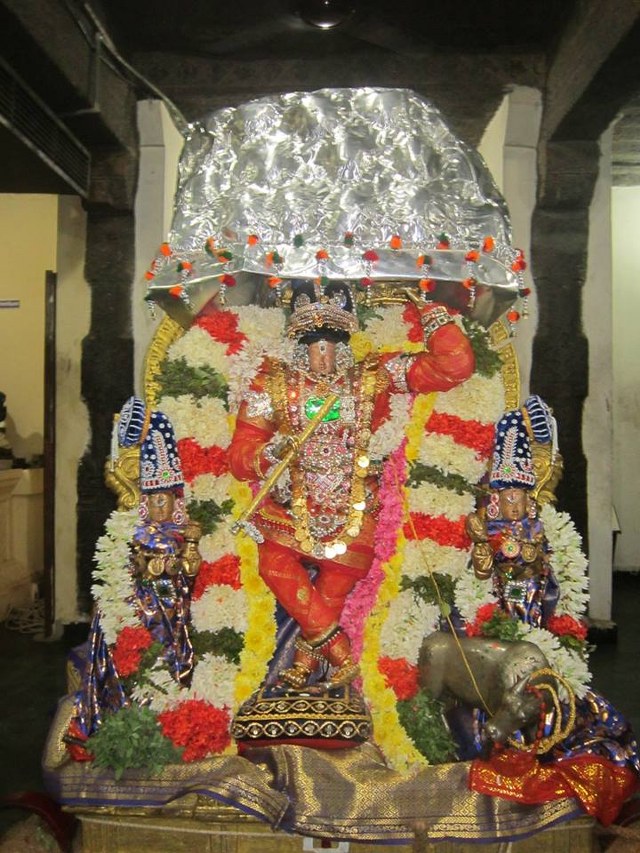 Saidapet Prasanna venkatesa temple Irappathu day 9  2014 -04_640x853