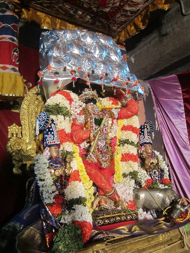 Saidapet Prasanna venkatesa temple Irappathu day 9  2014 -09_640x853