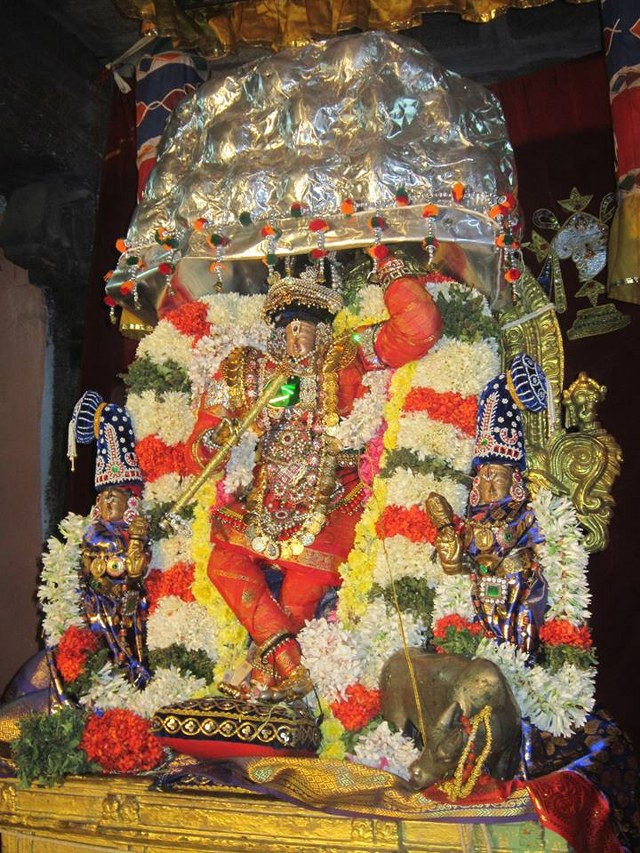 Saidapet Prasanna venkatesa temple Irappathu day 9  2014 -11_640x853