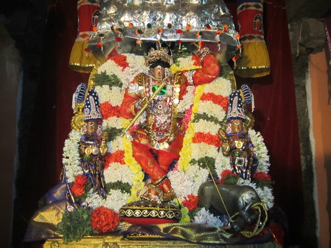 Saidapet Prasanna venkatesa temple Irappathu day 9  2014 -12