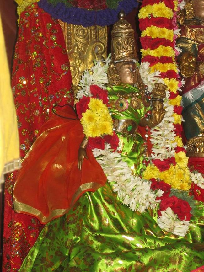 Saidapet Sri  Prasanna Venkatesa Narasimha Perumal Adhyayana Utsavam day 2 2013-09