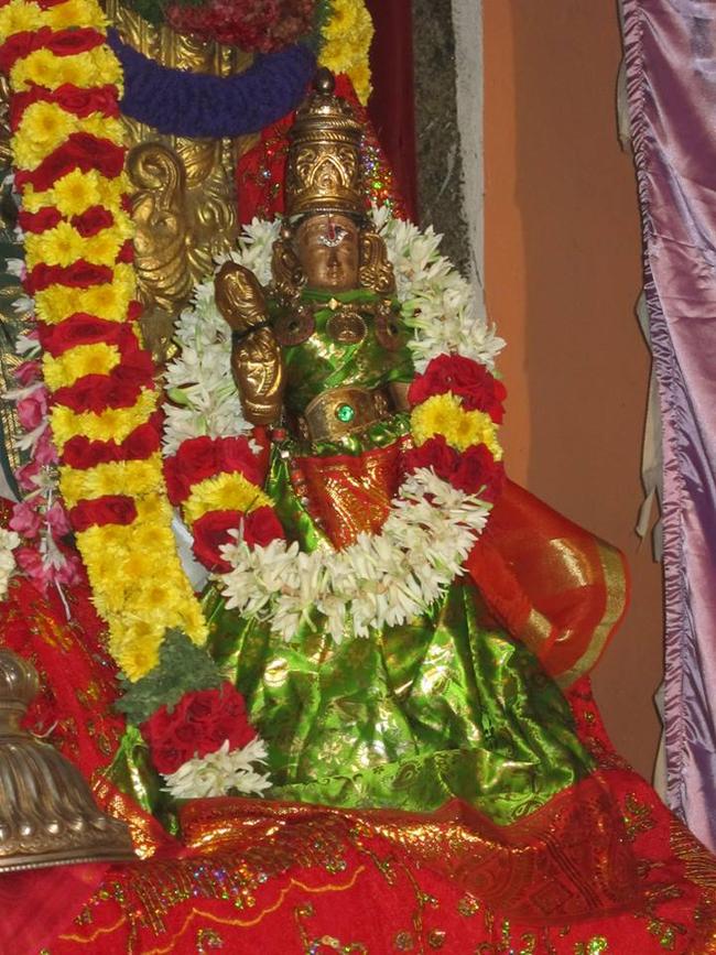 Saidapet Sri  Prasanna Venkatesa Narasimha Perumal Adhyayana Utsavam day 2 2013-12