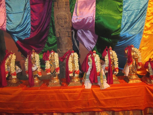 Saidapet Sri Prasanna Venkatesa Peruma Irappathu day 7 2014--03
