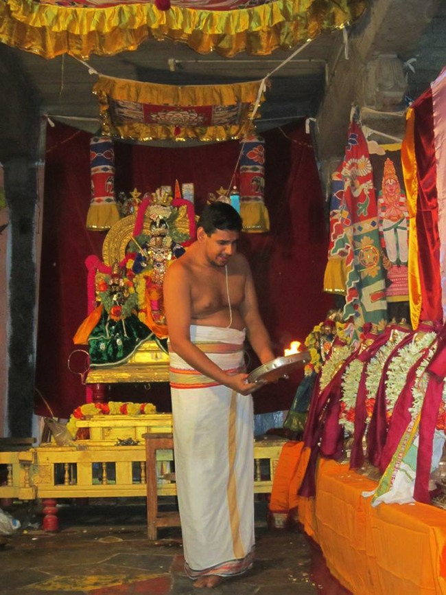 Saidapet Sri Prasanna Venkatesa Peruma Irappathu day 7 2014--05