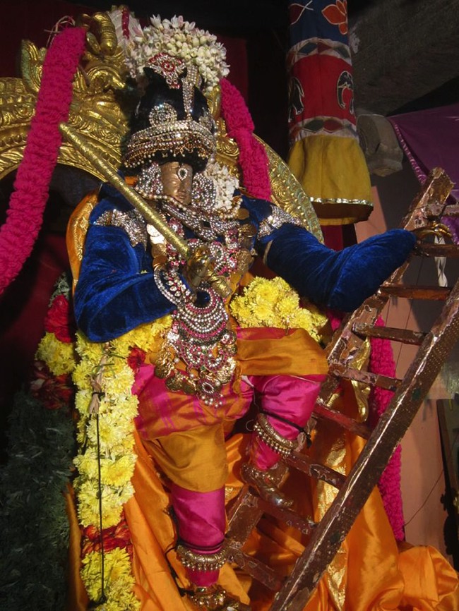 Saidapet Sri Prasanna Venkatesa Peruma Irappathu day 7 2014--07