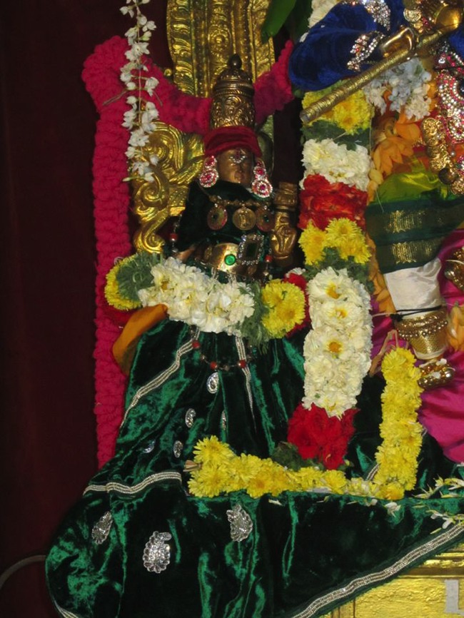 Saidapet Sri Prasanna Venkatesa Perumal Irappathu day 7 2014--00