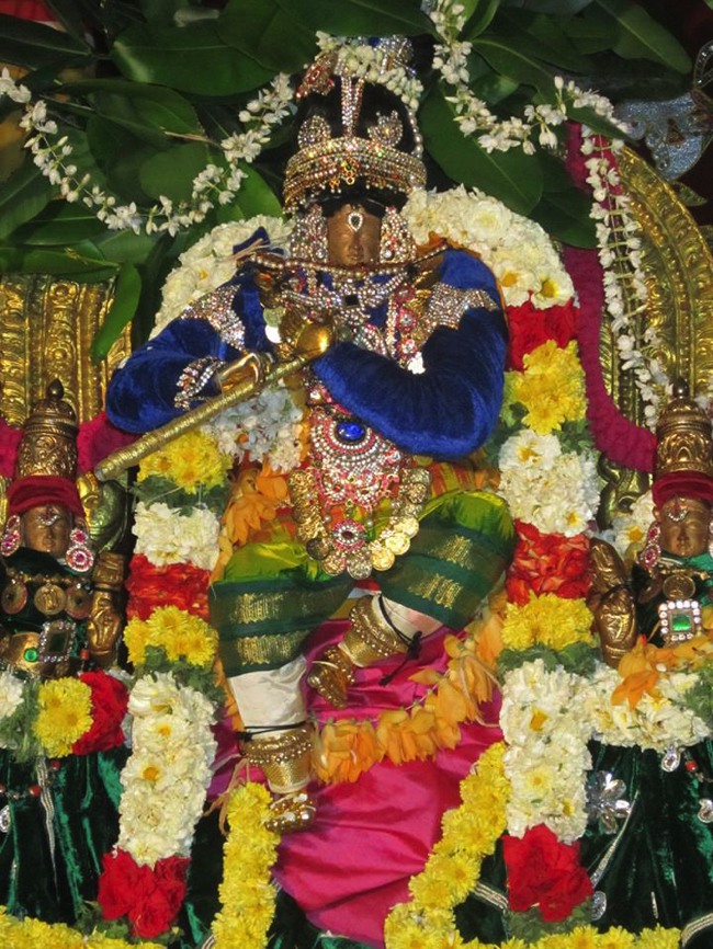 Saidapet Sri Prasanna Venkatesa Perumal Irappathu day 7 2014--01