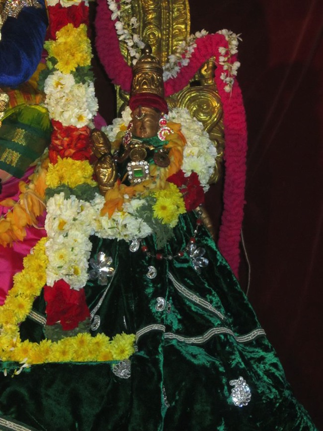 Saidapet Sri Prasanna Venkatesa Perumal Irappathu day 7 2014--02