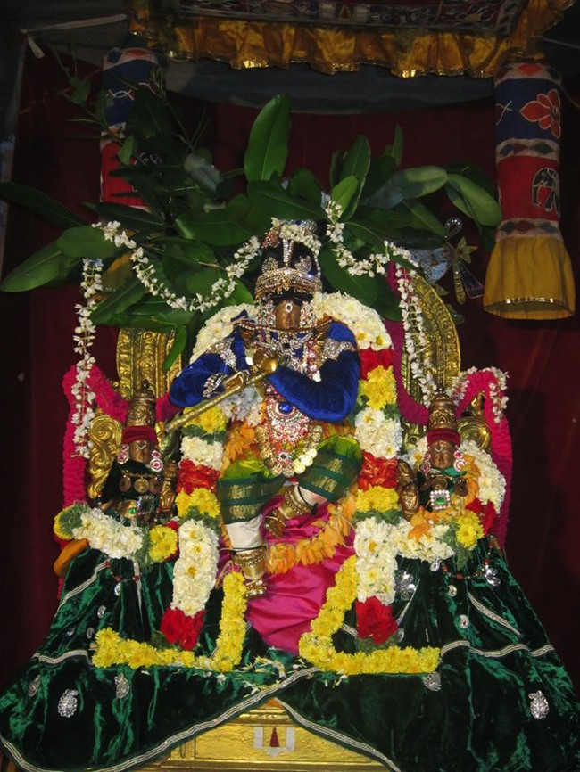 Saidapet Sri Prasanna Venkatesa Perumal Irappathu day 7 2014--07