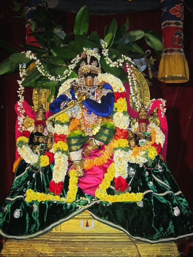 Saidapet Sri Prasanna Venkatesa Perumal Irappathu day 7 2014--08