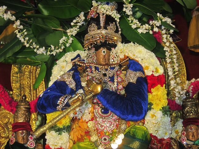 Saidapet Sri Prasanna Venkatesa Perumal Irappathu day 7 2014--10