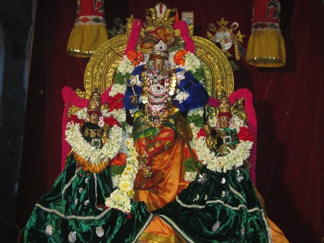 Saidapet Sri Prasanna Venkatesa Perumal Itappathu day 8 2014--02