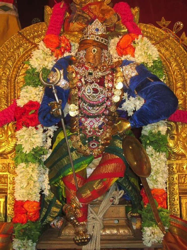Saidapet Sri Prasanna Venkatesa Perumal Itappathu day 8 2014--10