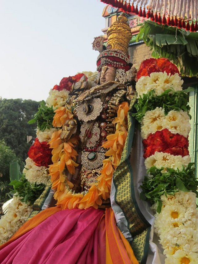 Saidapet Sri Prasanna venkatesa narasimha perumla Temple Thirukalyanam 2014  -01_640x853