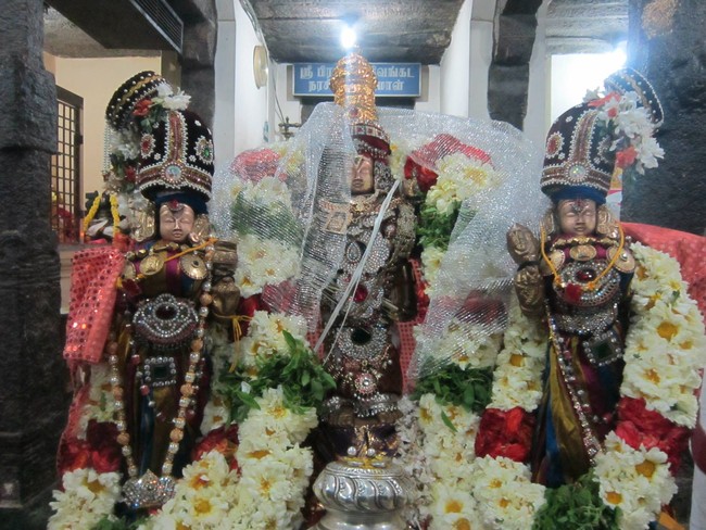 Saidapet Sri Prasanna venkatesa narasimha perumla Temple Thirukalyanam 2014  -06