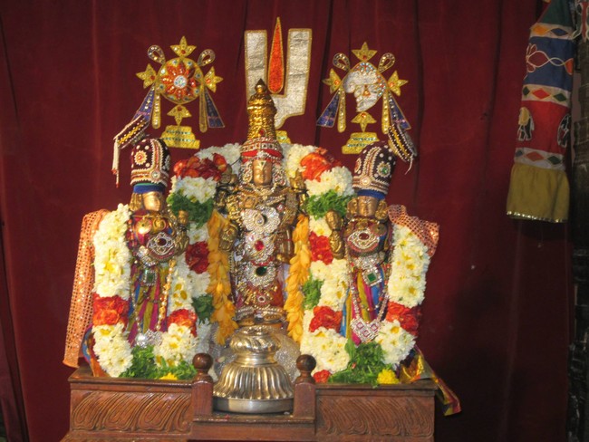 Saidapet Sri Prasanna venkatesa narasimha perumla Temple Thirukalyanam 2014  -09
