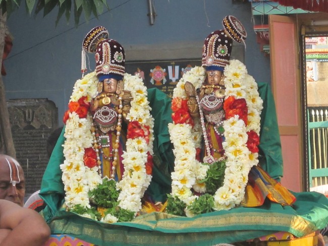 Saidapet Sri Prasanna venkatesa narasimha perumla Temple Thirukalyanam 2014  -12