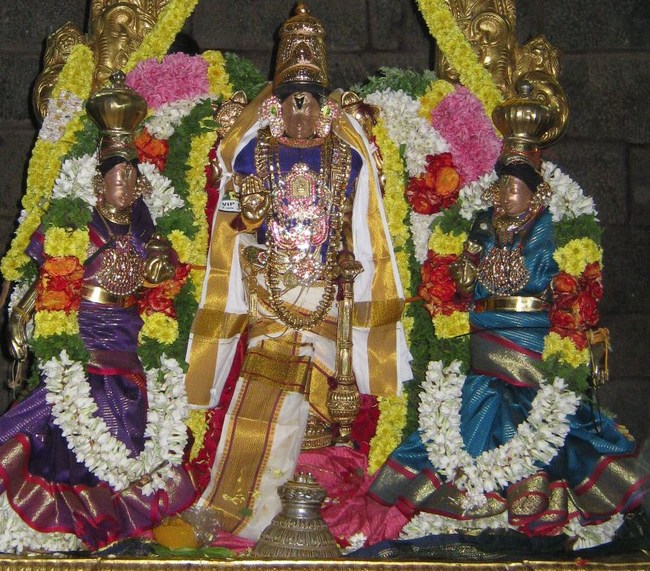 Sarangapani Choornabhishekam sankaramana Brahmotsavam 2014-02