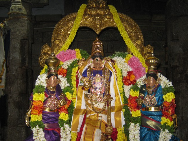 Sarangapani Choornabhishekam sankaramana Brahmotsavam 2014-07