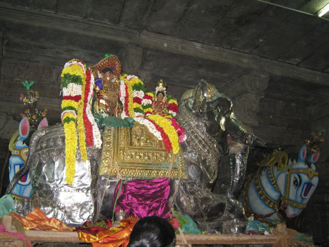 Sri Aravamudhan Sankaramana Brahmotssavam day 5 2014--00