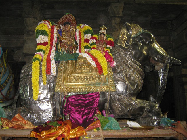 Sri Aravamudhan Sankaramana Brahmotssavam day 5 2014--01