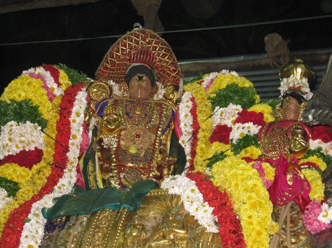 Sri Aravamudhan Sankaramana Brahmotssavam day 5 2014--04