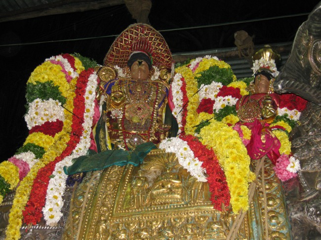 Sri Aravamudhan Sankaramana Brahmotssavam day 5 2014--06