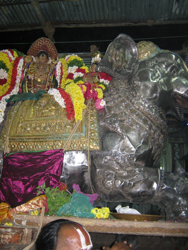 Sri Aravamudhan Sankaramana Brahmotssavam day 5 2014--09