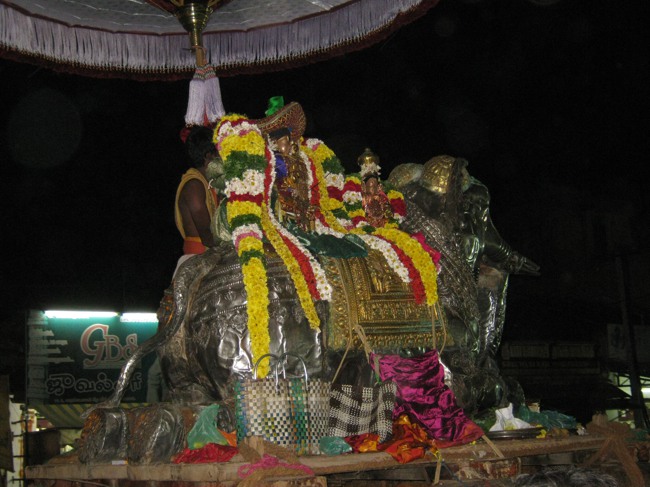 Sri Aravamudhan Sankaramana Brahmotssavam day 5 2014--12