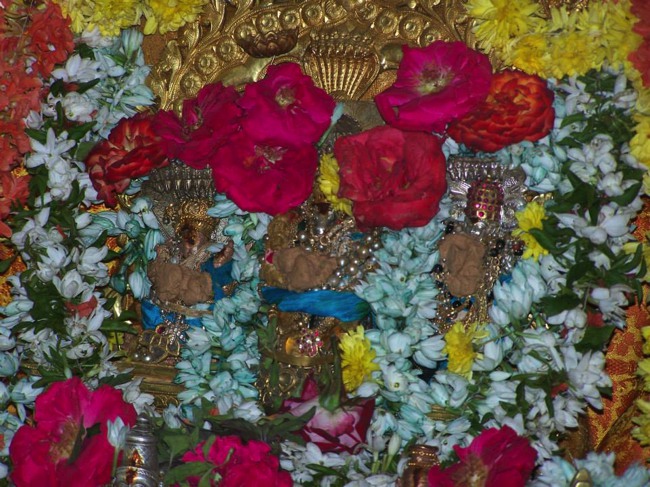 Sri Parakala Jeeyar Hydrabad yatra concludes 2014--10