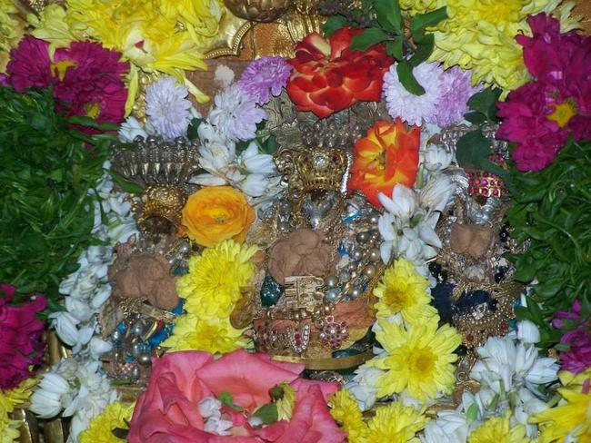 Sri Parakala Jeeyar Mangalasasanam at Hydrebad Andavan ashramam 2013-13