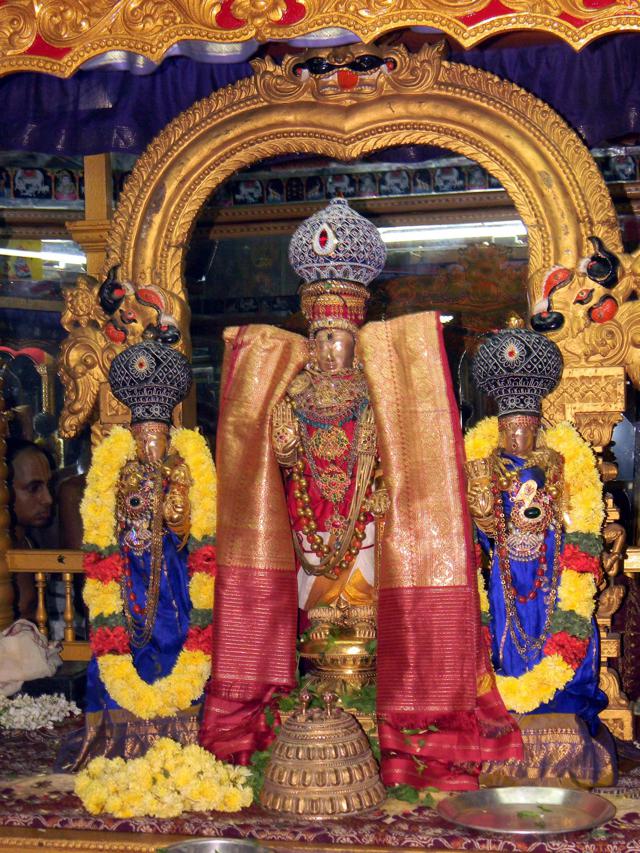 Srimath Azhagiyasingar_Thiruvallur_14