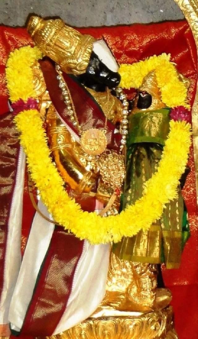 Sripuram Venkateswara sannadhi Irappathu Utsavam 2014 -06_503x860
