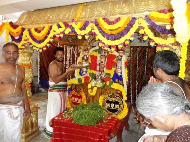Sripuram venakatesware Perumal Vaikunda Ekadasi 2014--03