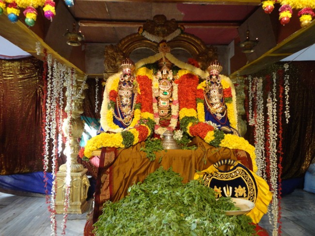 Sripuram venakatesware Perumal Vaikunda Ekadasi 2014--08