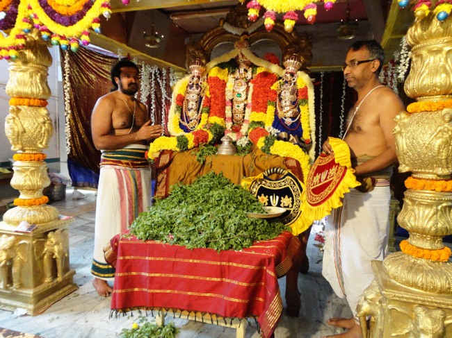 Sripuram venakatesware Perumal Vaikunda Ekadasi 2014--09