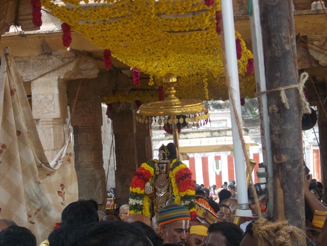 Srirangam Namperumal Irappathu utsavam Day 5 2014 -09