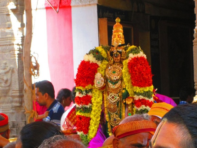 Srirangam Rappathu Day 4  2014-06
