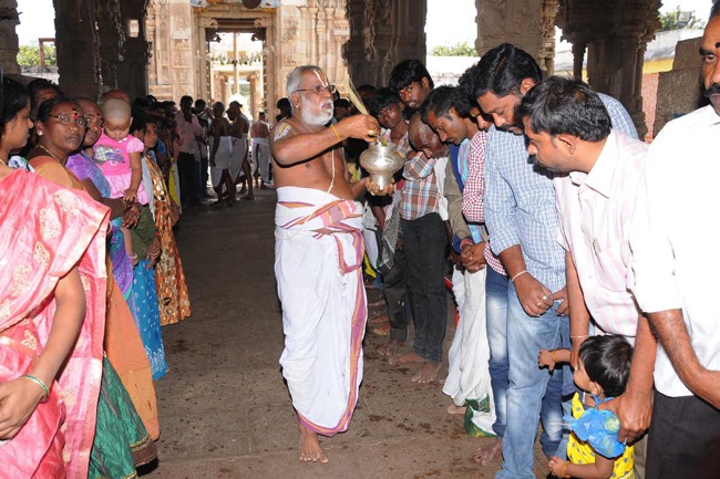 Swathi Thirumanjanam at Sri Prahaladhavardhan sannadhi 2014--07