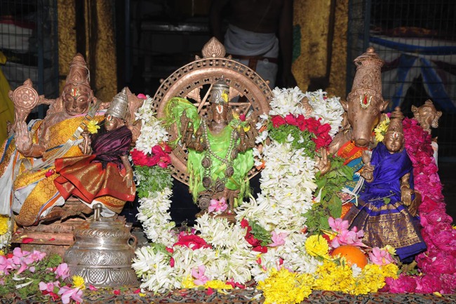 Swathi Thirumanjanam at Sri Prahaladhavardhan sannadhi 2014--08