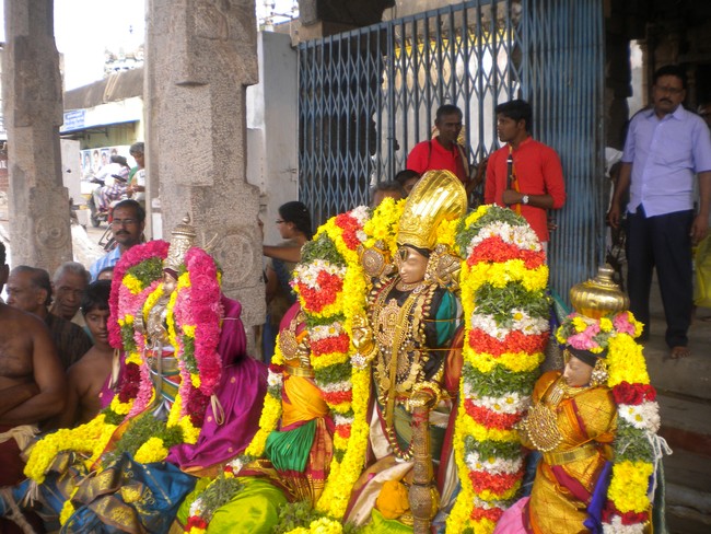 THirukudanthai Sarangapani Temple Uttarayana Vaasal Thirappu   2014 -03