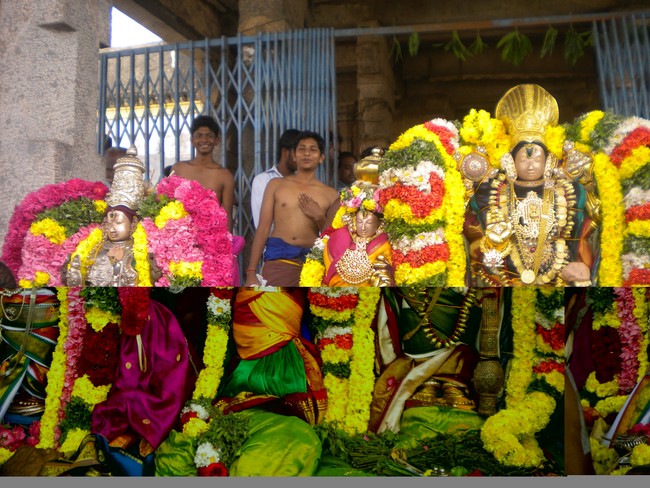 THirukudanthai Sarangapani Temple Uttarayana Vaasal Thirappu   2014 -13