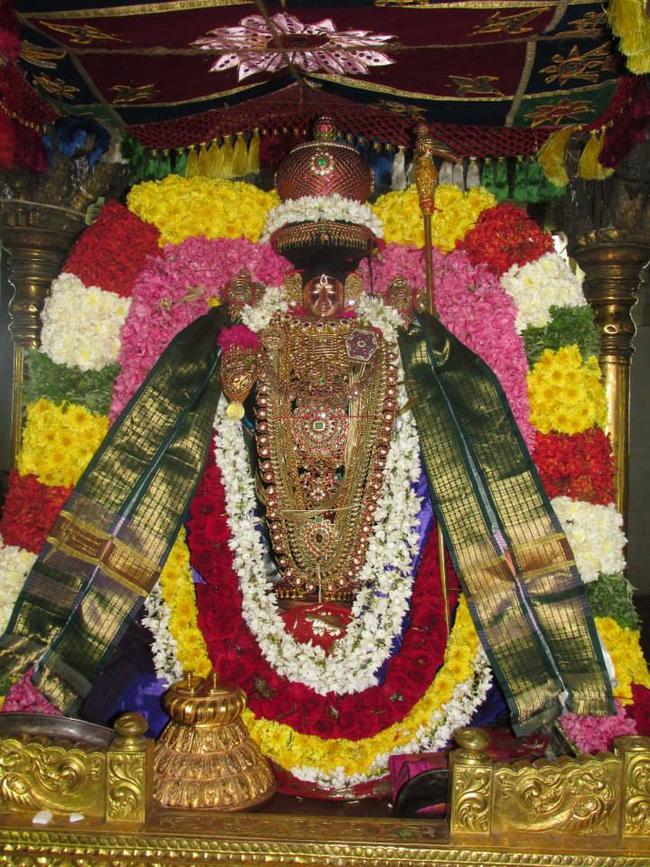 THiruvahindrapuram Devanatha Perumal Pagal Pathu Utsavam day 2 2013-2