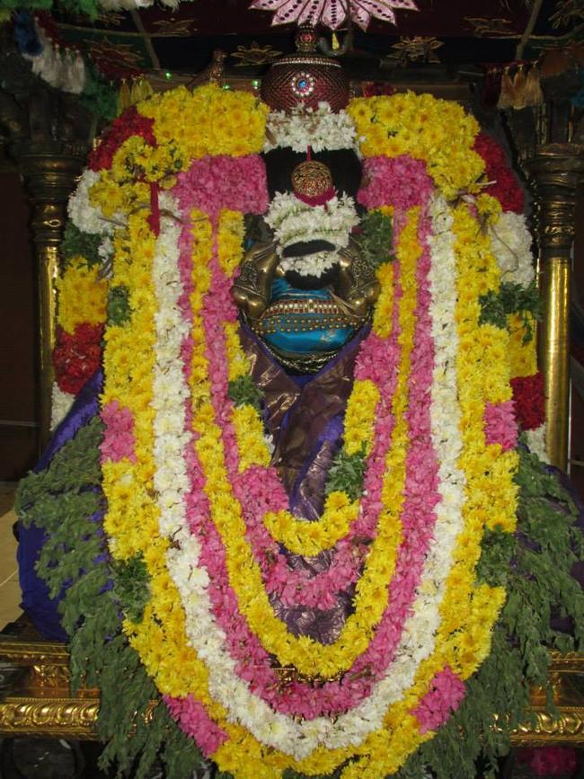 THiruvahindrapuram Devanatha Perumal Pagal Pathu Utsavam day 2 2013-4