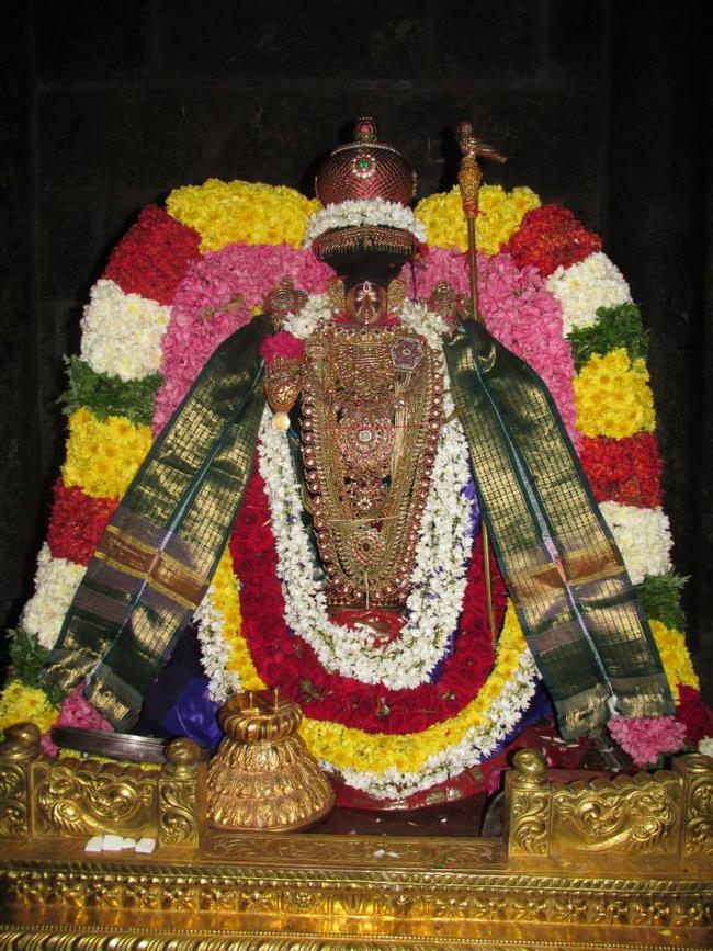 THiruvahindrapuram Devanatha Perumal Pagal Pathu Utsavam day 2 2013-6