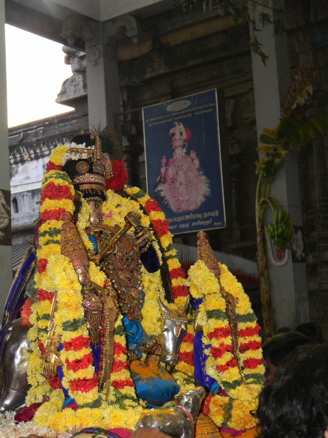 THiruvallur Thai Brahmotsavam Velli Chapparam  2014--03