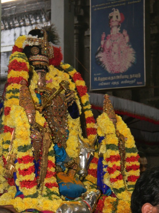 THiruvallur Thai Brahmotsavam Velli Chapparam  2014--04