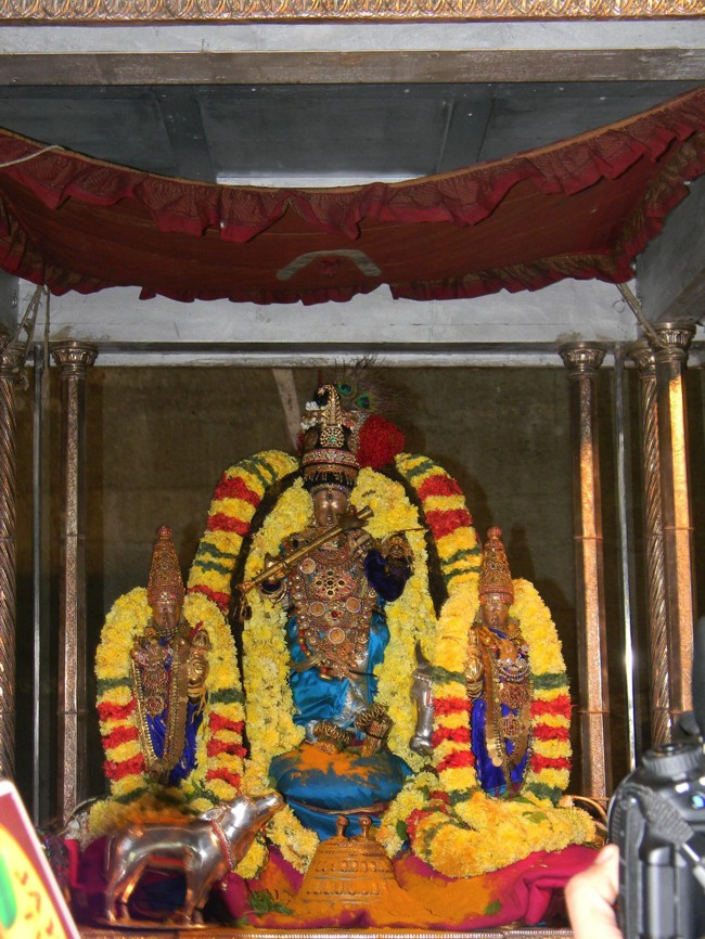 THiruvallur Thai Brahmotsavam Velli Chapparam  2014--06